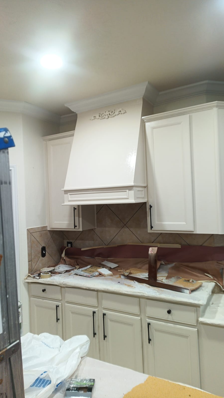 APPainting & Home Repair project